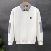 Striped Panel Sweatshirt